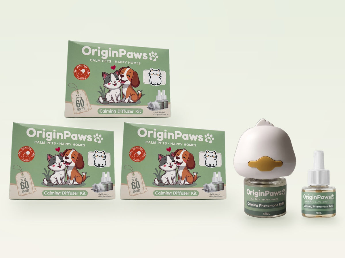 OriginPaws Cat 3-Room Bundle: three kit boxes with plug-in diffuser and spare refill